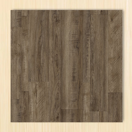 American oak Sample