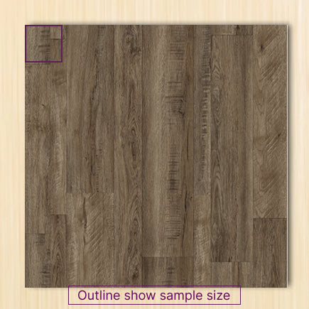 American oak Sample