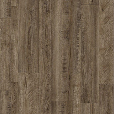 American oak Sample