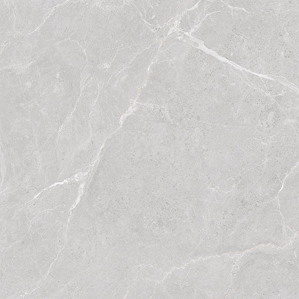 Walter Light Grey Matt Sample