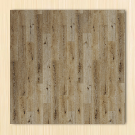 Ostend Oak Sample