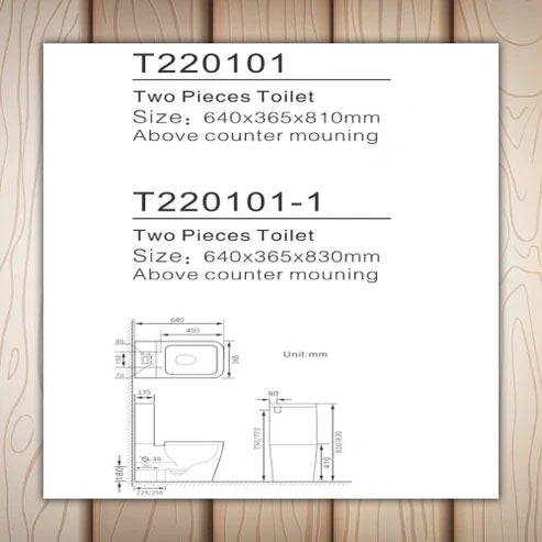 Square Toilet