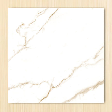 Carrara Gold Glossy