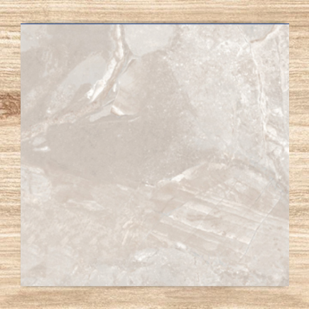 Roma Grey Glossy Sample