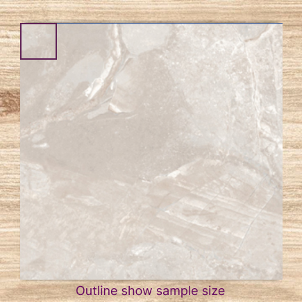 Roma Grey Glossy Sample