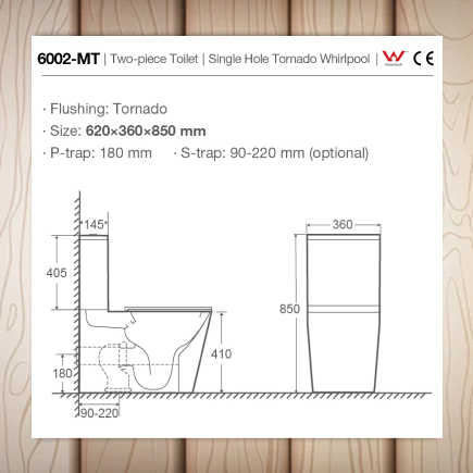 Black Toilet