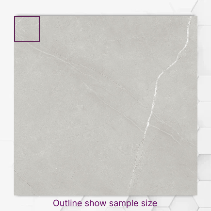 Armani Light Grey Glossy P6 Sample