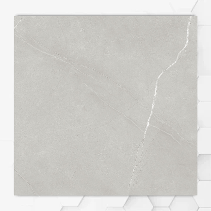 Armani Light Grey Glossy P6 Sample