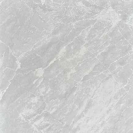 Light Grey Glossy