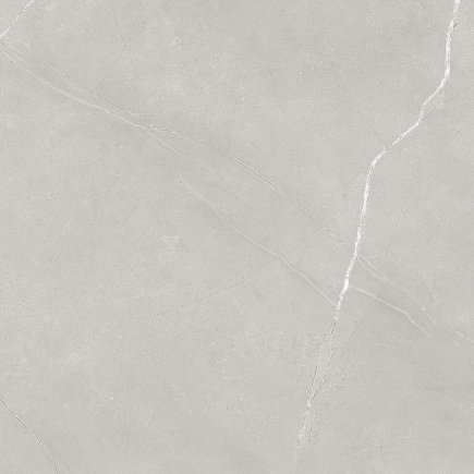 Armani Light Grey Glossy P6 Sample