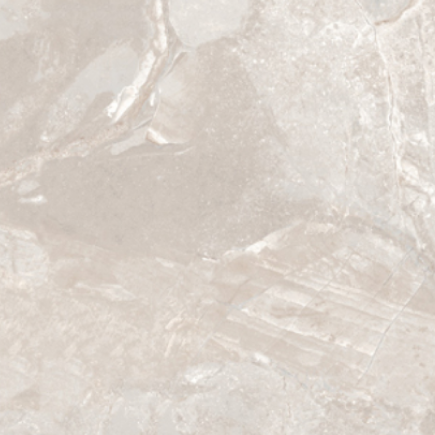 Roma Grey Glossy Sample