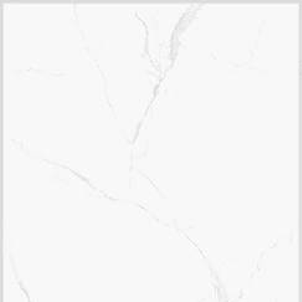 Carrara White Sample