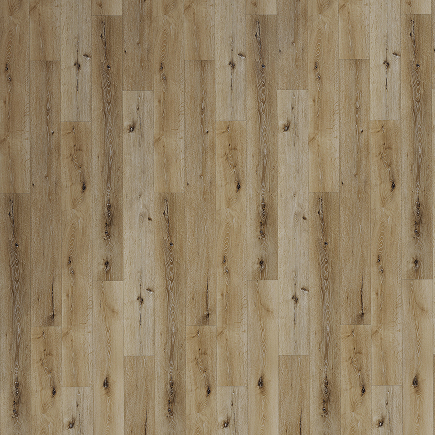 Ostend Oak